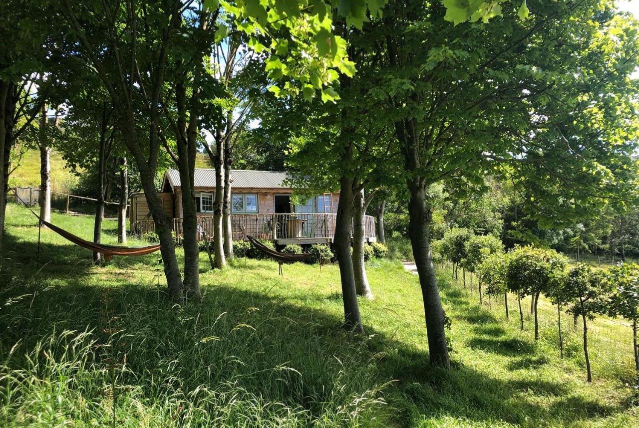 Cottage Orne Long Bredy Esterno foto