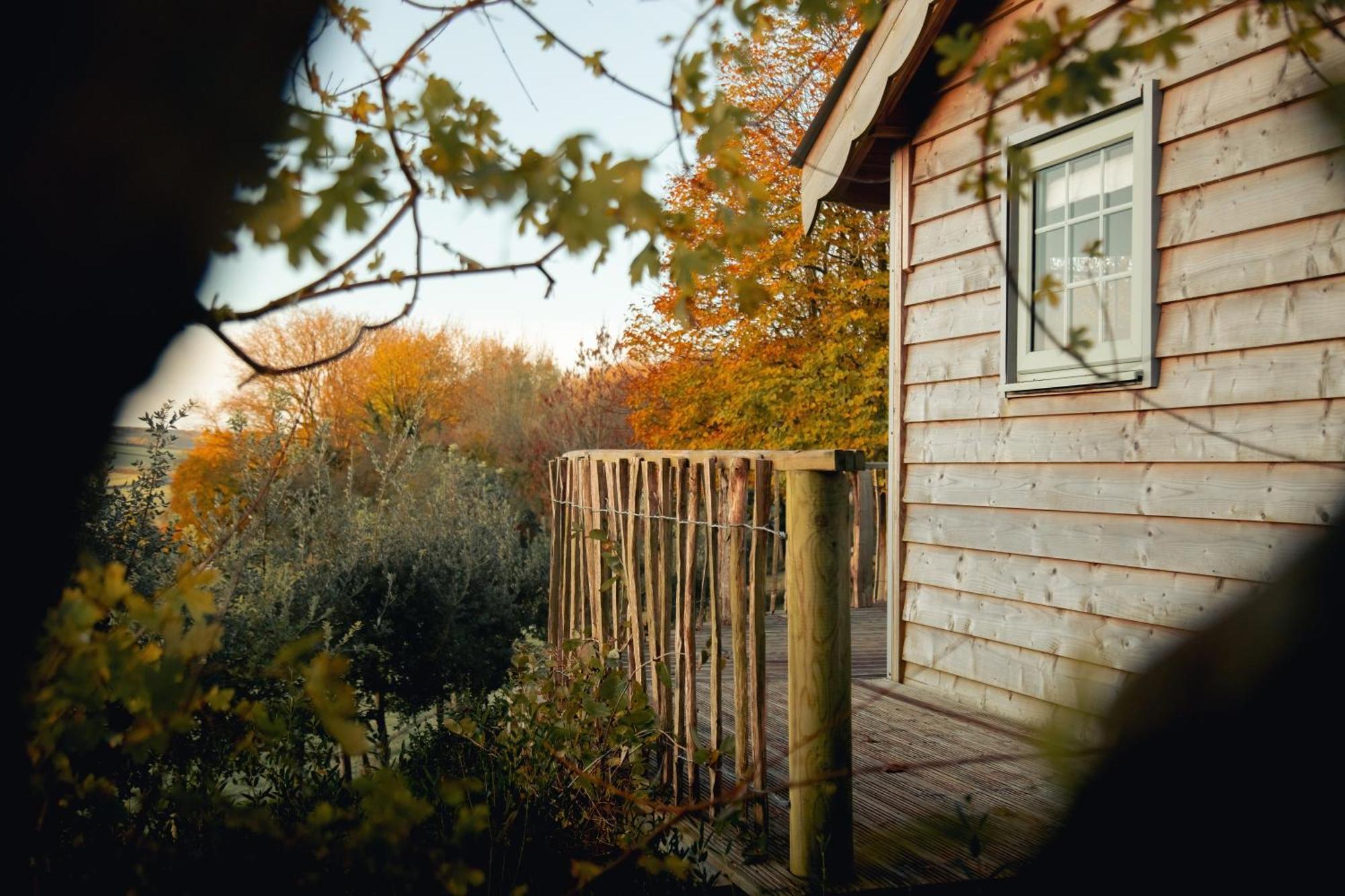 Cottage Orne Long Bredy Esterno foto